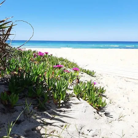 Guest House Appartamento Gallipoli