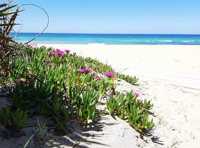 Guest House Apartment Gallipoli